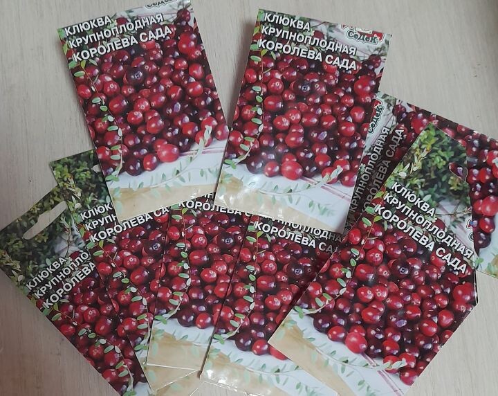    Фото:Павел Решетов