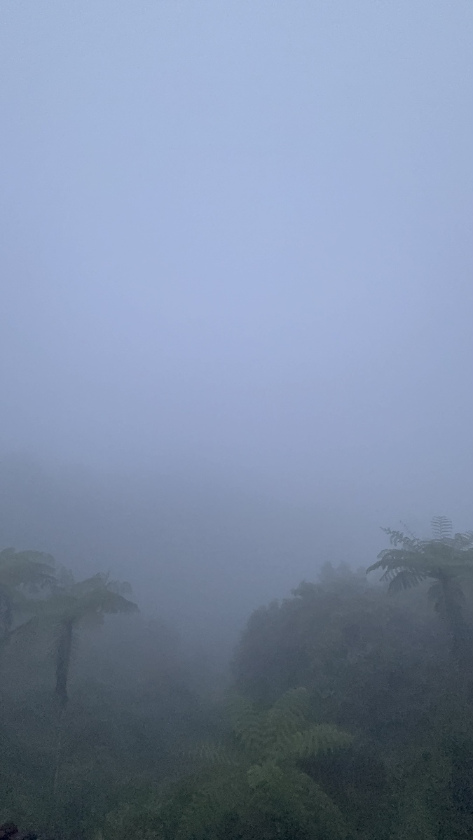 Проезжаем облако - нулевая видимость