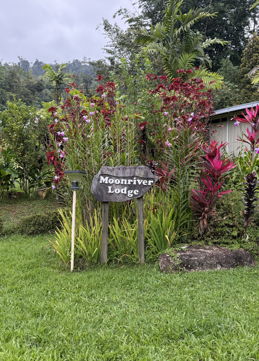 Ферма - организатор тура