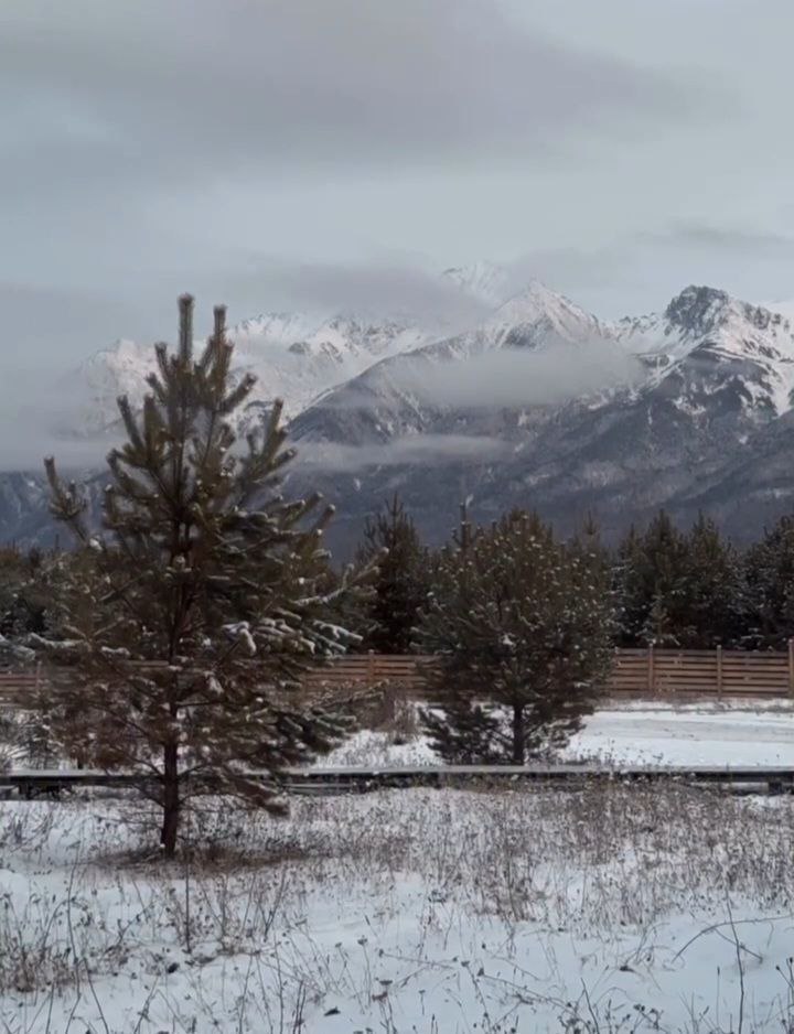 Это фотография и последующие aleksandr_danadoev  