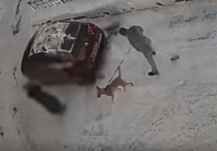 Обложка © Telegram / РЕН ТВ|Новости