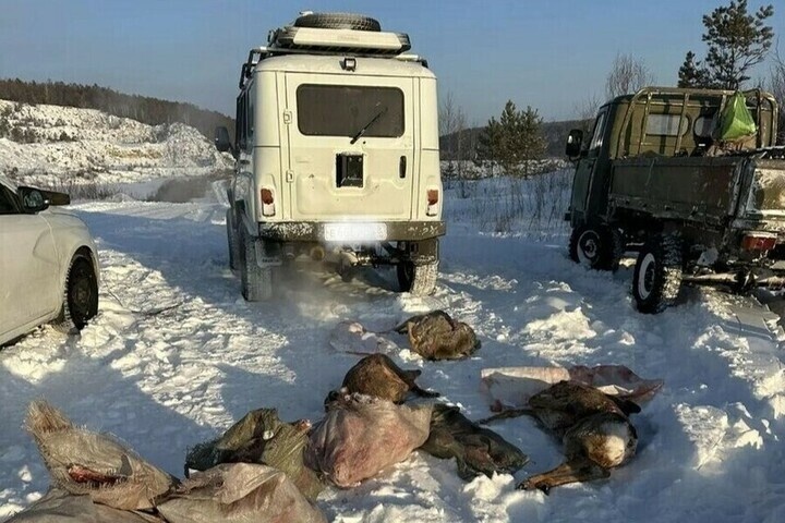 В Амурской области задержаны браконьеры с семью незаконно добытыми косулями