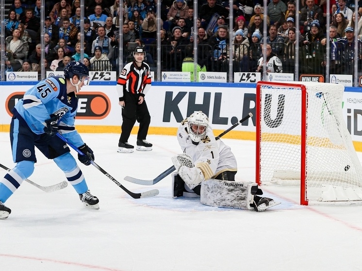     Фото: пресс-служба ХК "Сибирь"