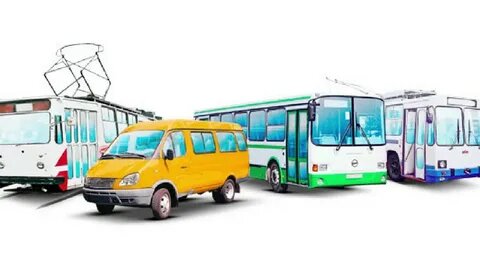    Фото: открытый источник