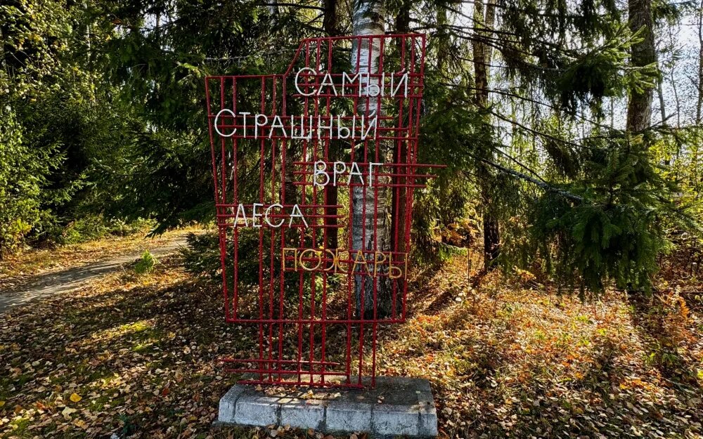    Фото: "Брянские новости"