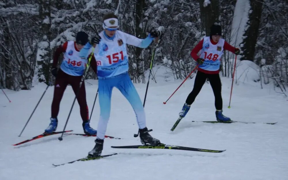    Фото: Департамент физической культуры и спорта Брянской области