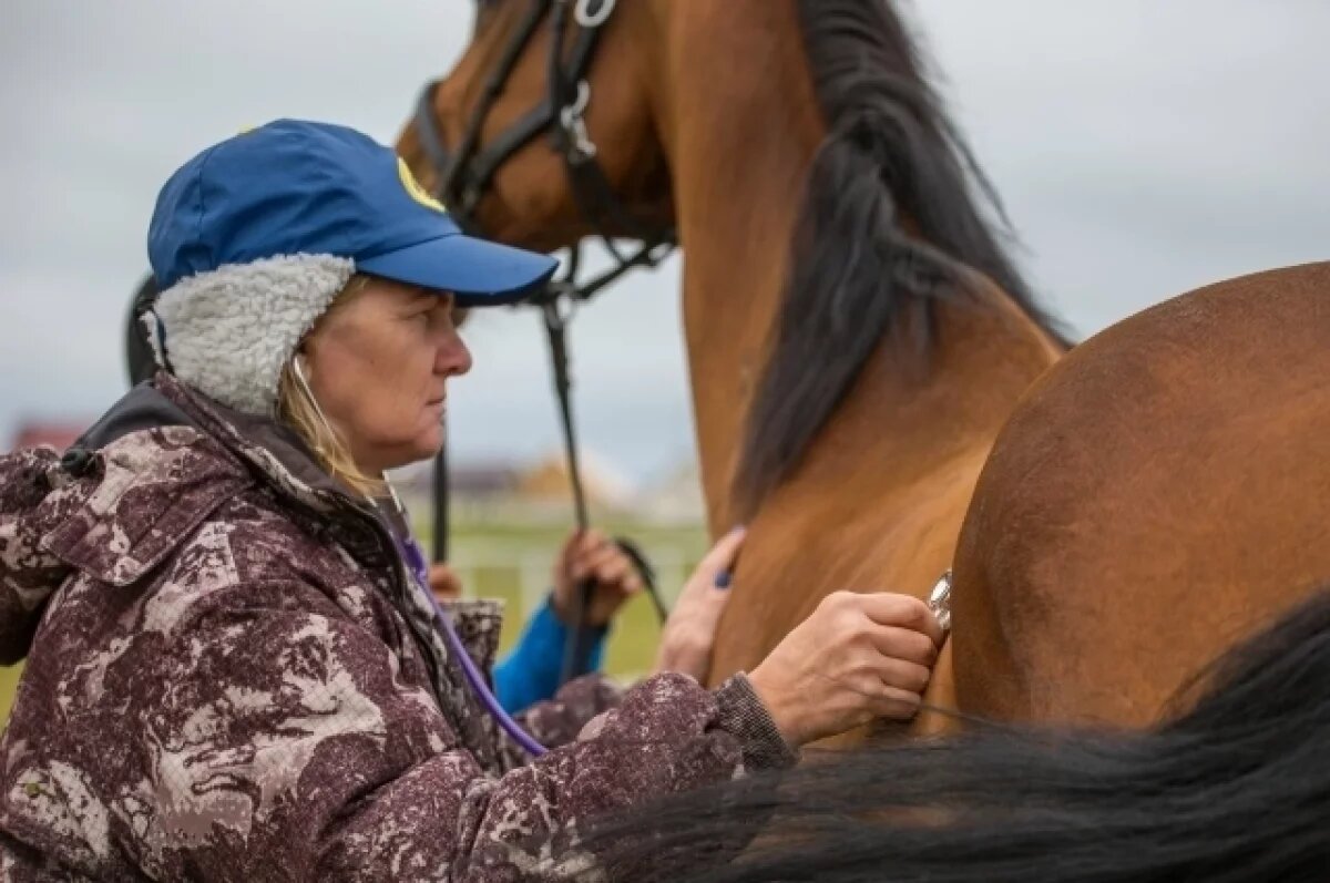    Держать в узде?