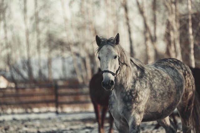    Фото: Личный архив Светланы Колмогоровой.