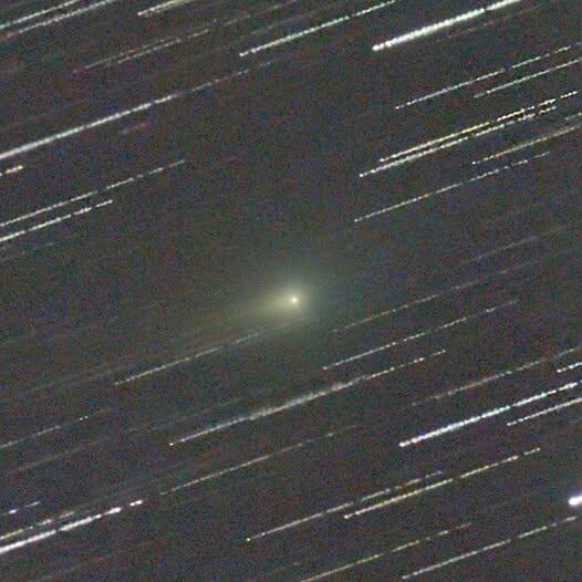 Комета 3I/ATLAS с телескопом Seestar S50 на минимальном расстоянии. Обработка 238 30-секундных экспозиций, сделанных с 00:12 по 06:02 19 декабря 2025. Астрономический рассвет был в 06:04. Виден антихвост. Поле зрения 40 x 40 угловых минут, север находится сверху. Фото Steve Knight