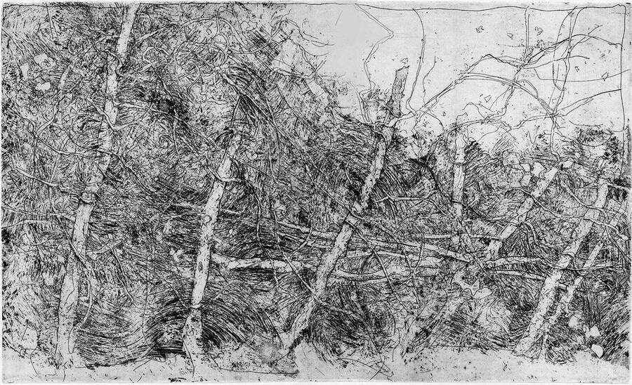 Виноградник зимой. Офорт