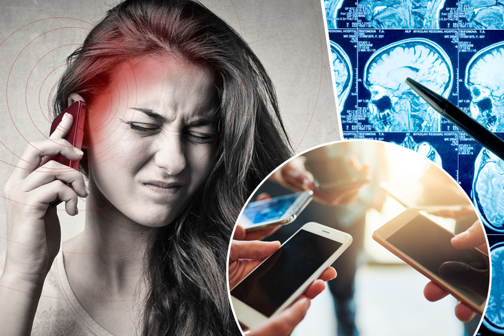 Картинка взята из интернета .Информационная перегрузка мозга. 