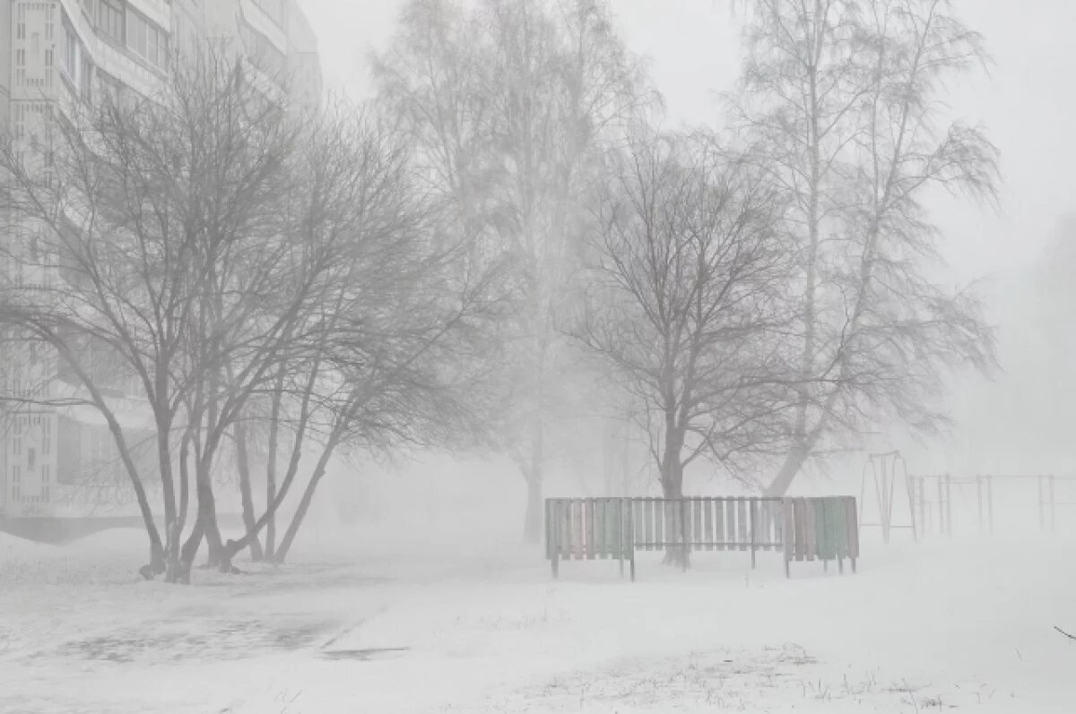    В Новосибирской области из-за метели приостановили междугородние перевозки