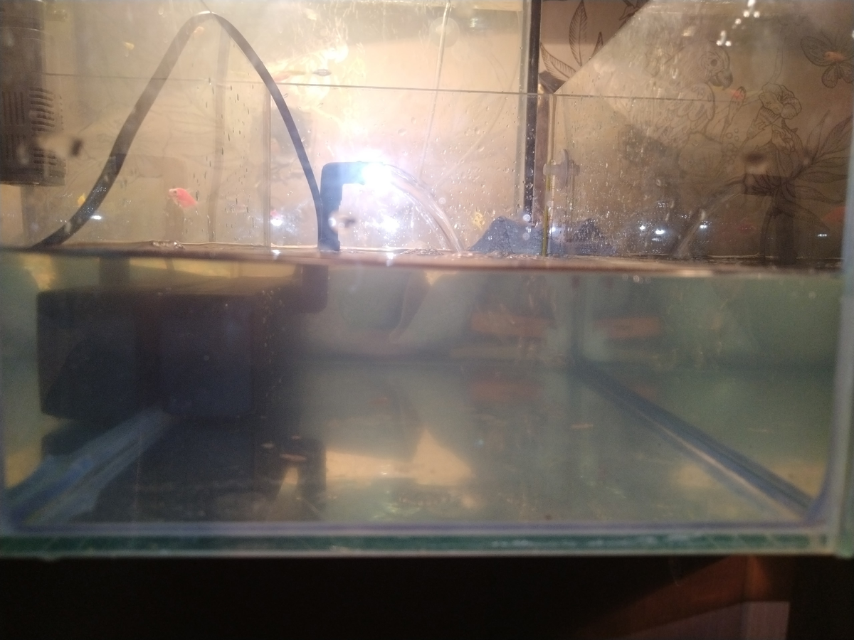 Прошло часов 5, так и не очистил меньше 5л воды