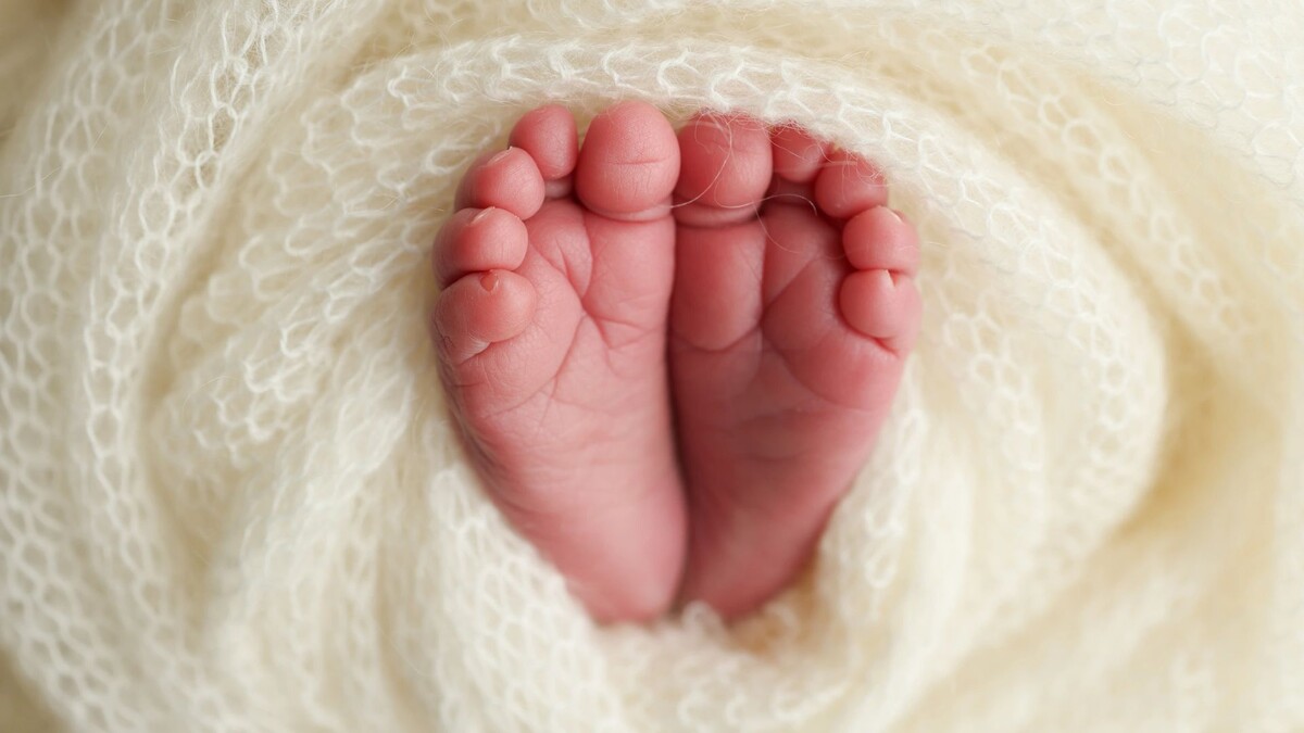    Фото: Vad-Len/Shutterstock/Fotodom