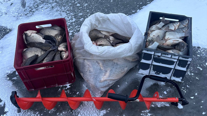    Фото: vk.com/omsk_fishing