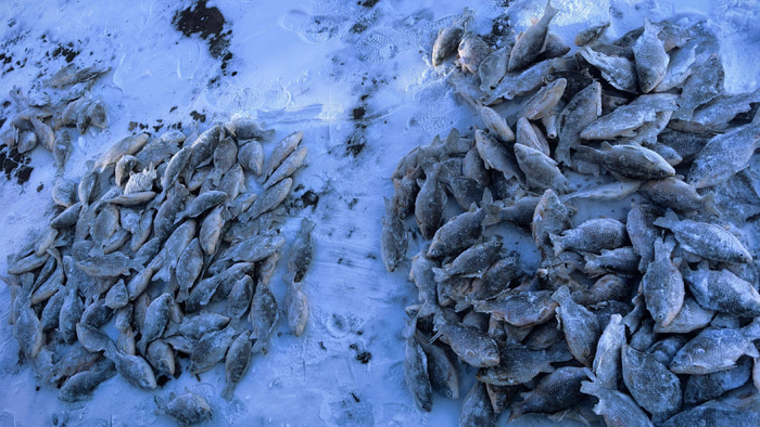    Фото: vk.com/omsk_fishing