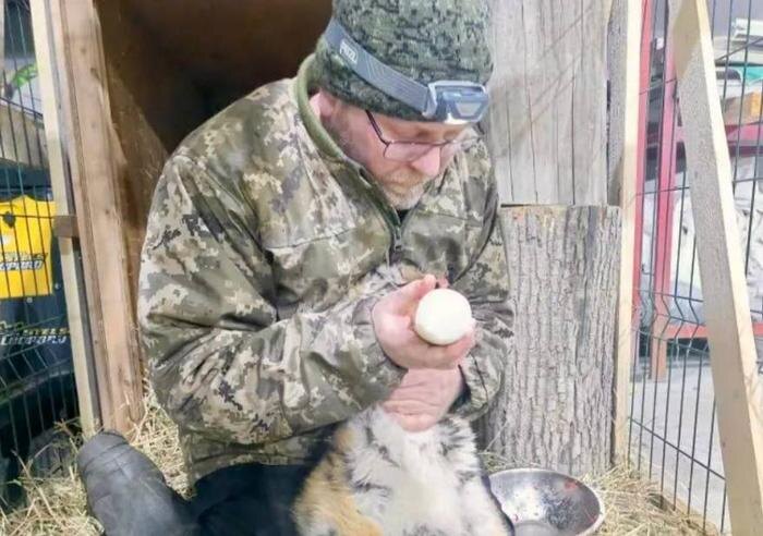 Хабаровские врачи борются за жизнь тигрёнка. Фото © Telegram / Центр «Амурский тигр»