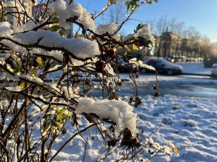     Температура воздуха -7…-9°. Фото: архив МК в Питере