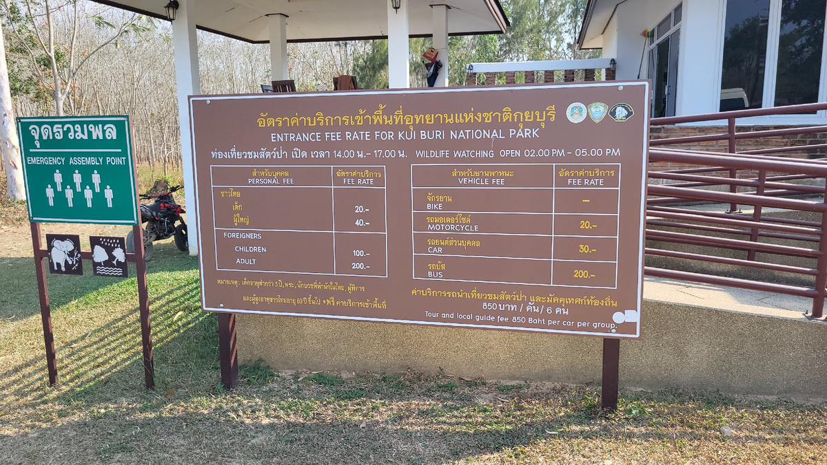 Стоимость посещения