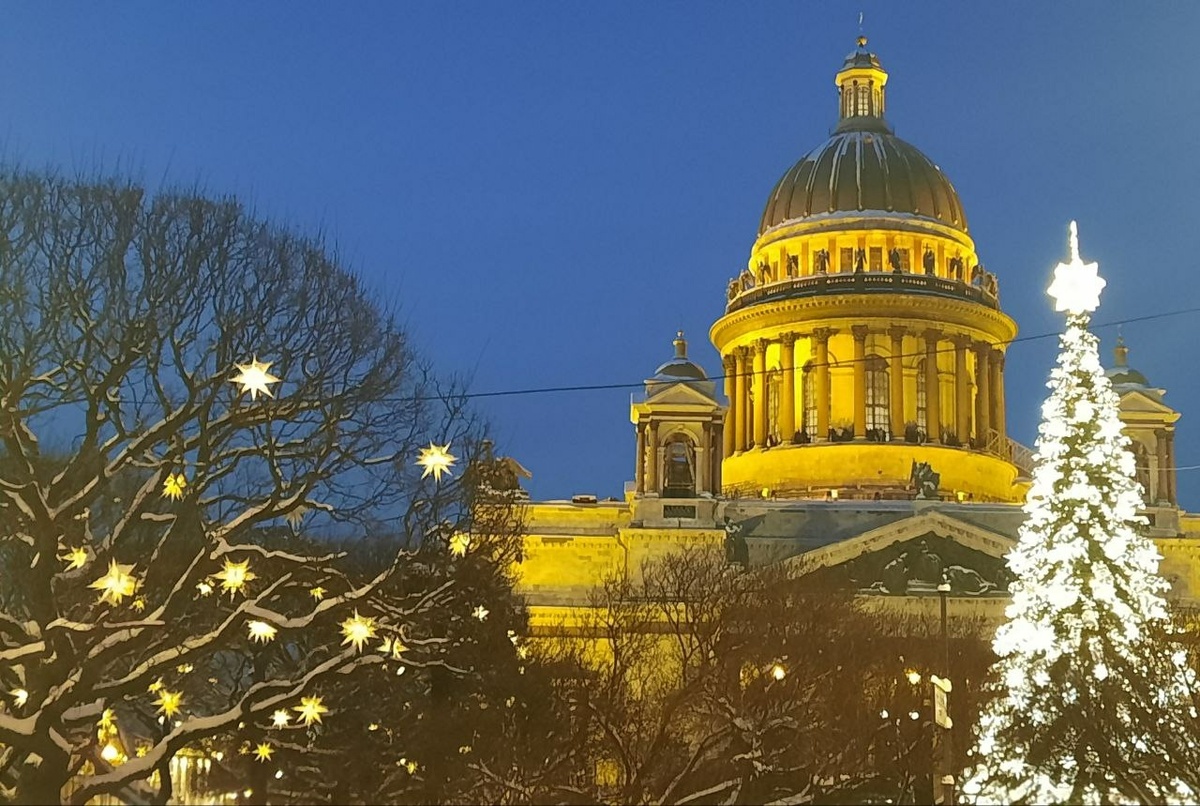     Фото: Бриф 24