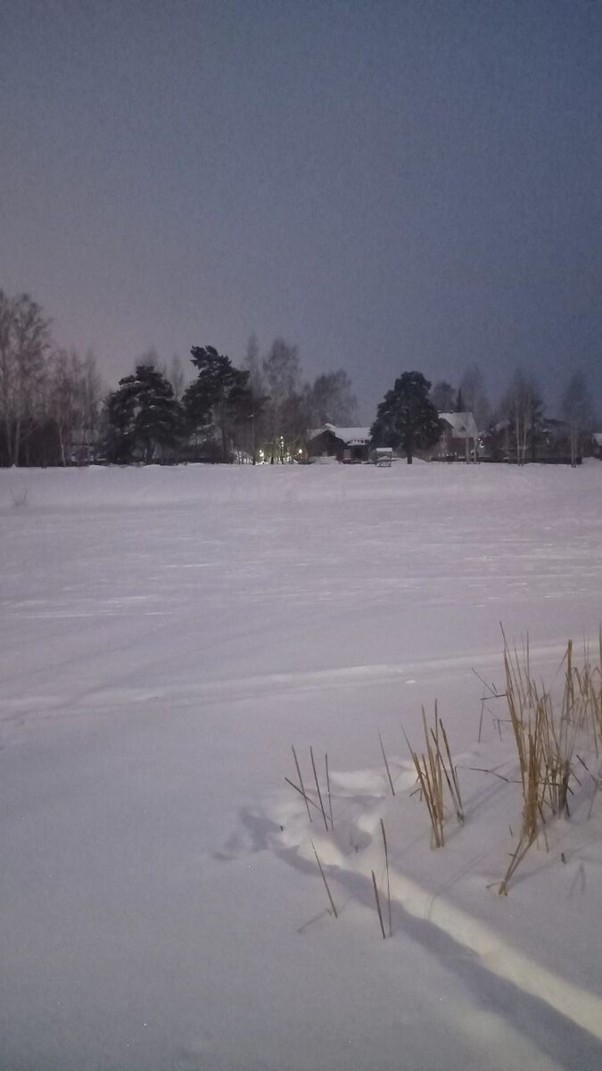 Вечер в Сочельник