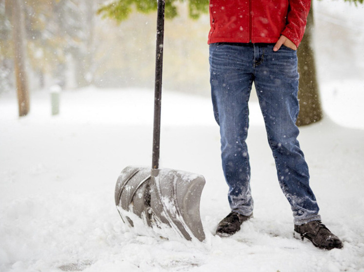     Источник: wirestock/FreePik