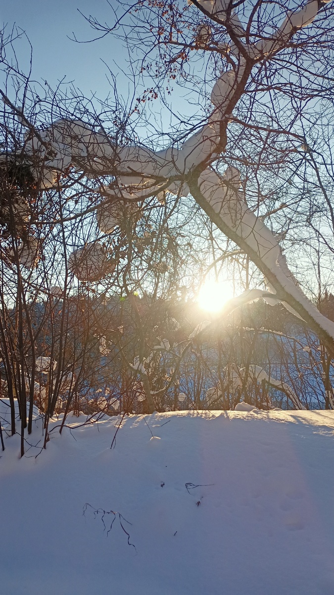 Все фото, видео и ИИ-генерации в статье - автора