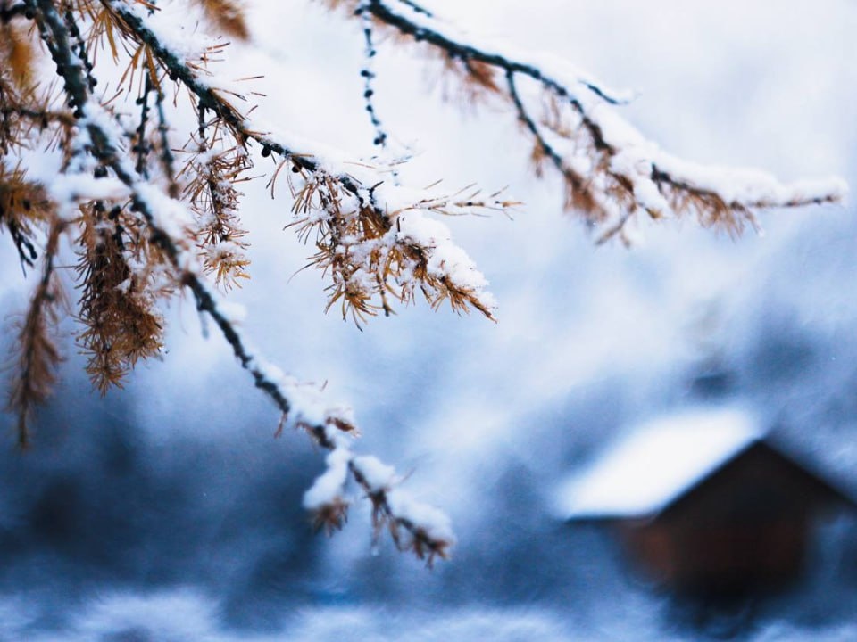    Фото: t.me/mosoblpark