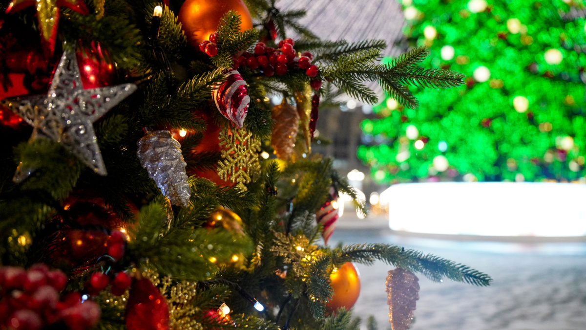 Светлана Мулыкина📷
