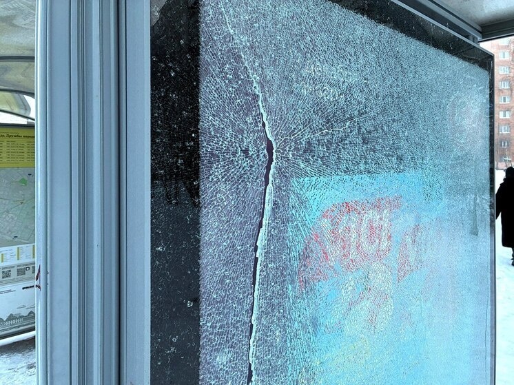     Фото «Открытый Архангельск» / Telegram