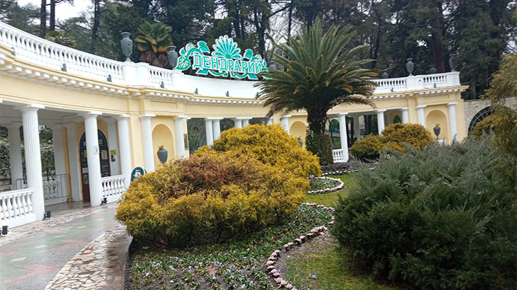 Сочинский парк «Дендрарий».
