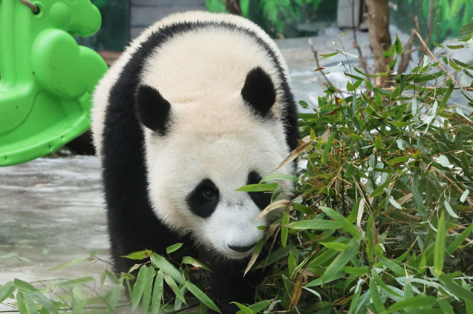    Алексей Белкин/NEWS.ru