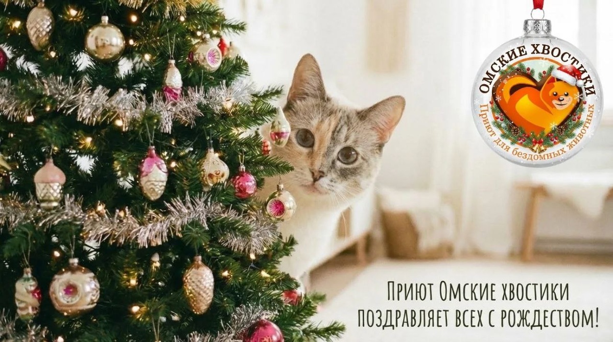 Настоящие чудеса не спускаются с небес. Их создают люди с большим и добрым сердцем. Люди, как вы.