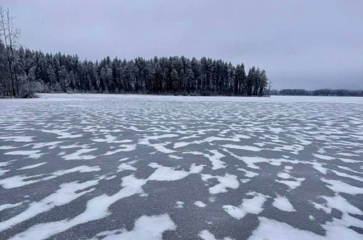    Фото: Телеграм/oe_polyakov_goskomitet