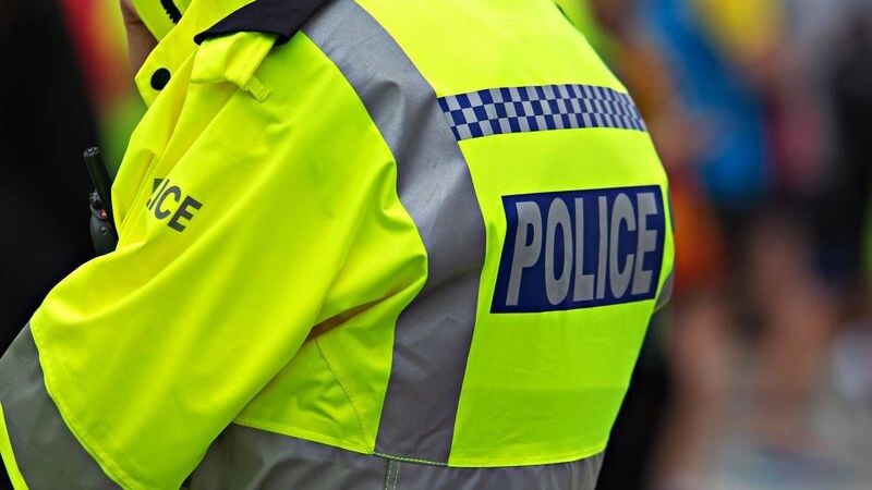    Фото: kenny1/Shutterstock/Fotodom