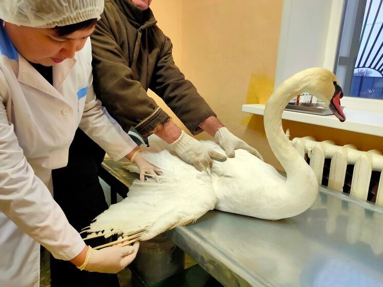     Фото: Управление ветеринарии Правительства Саратовской области