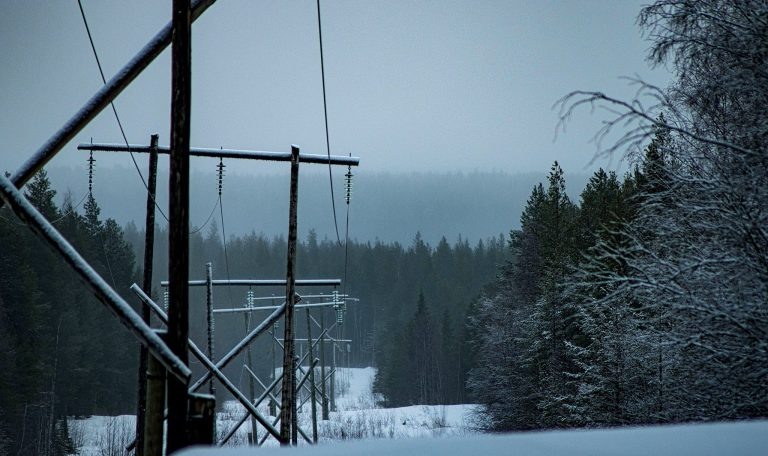    Фото: Egor Plenkin / flickr.com Алена Мищенко