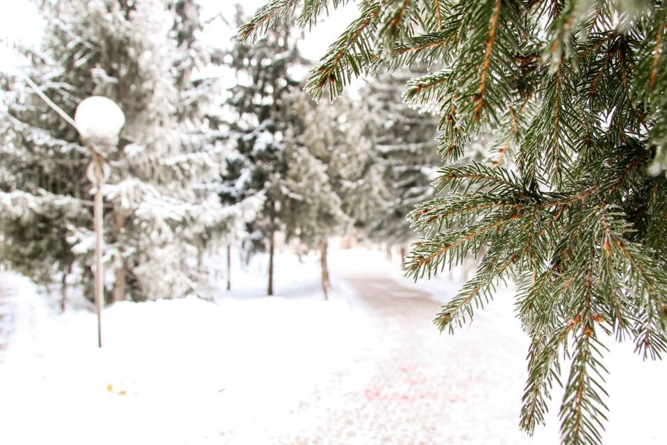   Погода. Зима. Снег.. Источник: Виталий Барабаш