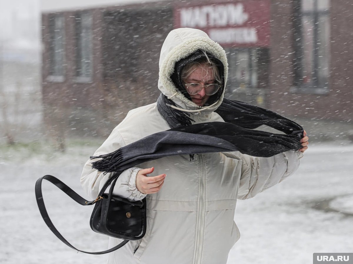     В Тюменской области прогнозируется метель