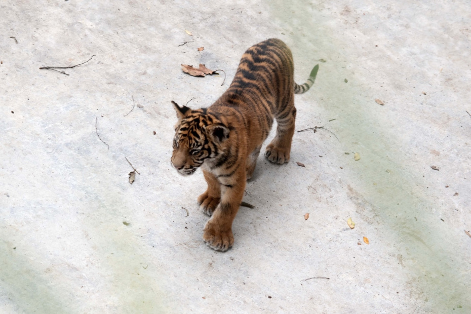    Shutterstock/FOTODOM