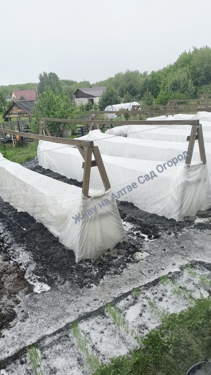 28 мая 2025 год. После высадки прошло несколько дней 