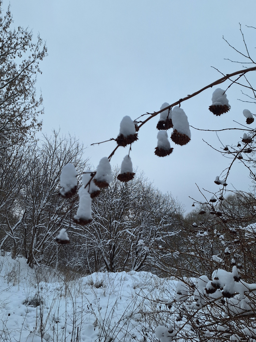 Фото - собственность автора канала "ТАК НАДО".