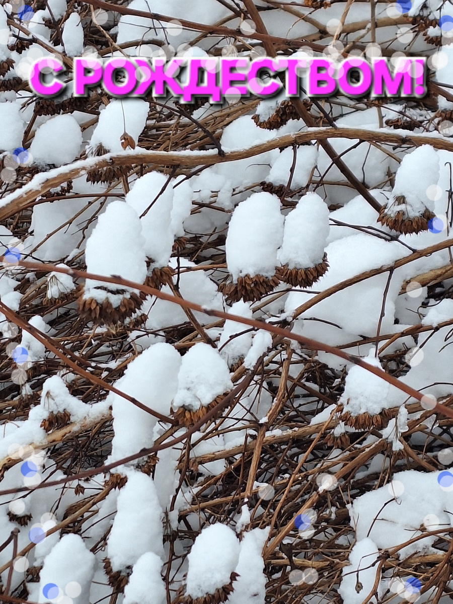 Фотоколлаж - собственность автора канала "ТАК НАДО".