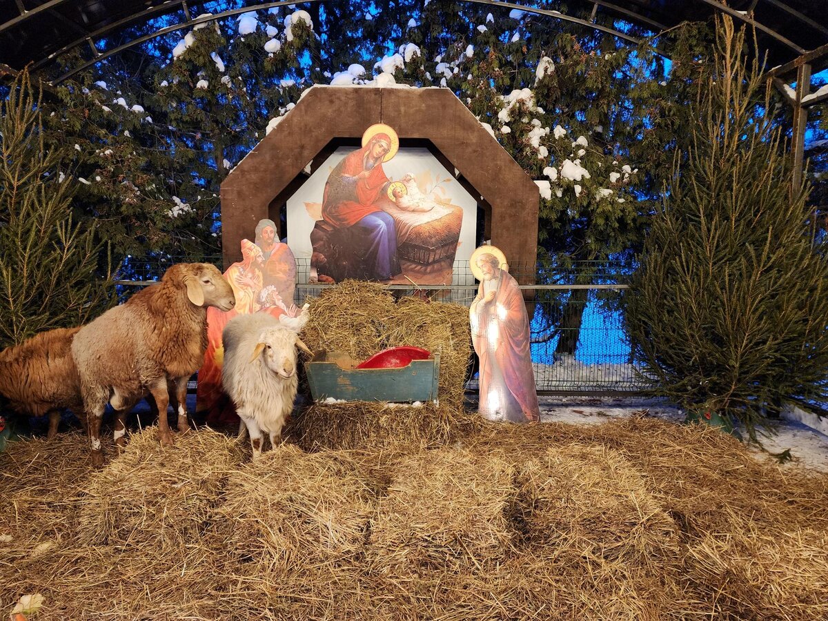    Фото: МедиаБанк Подмосковья/Ирина Моисеева