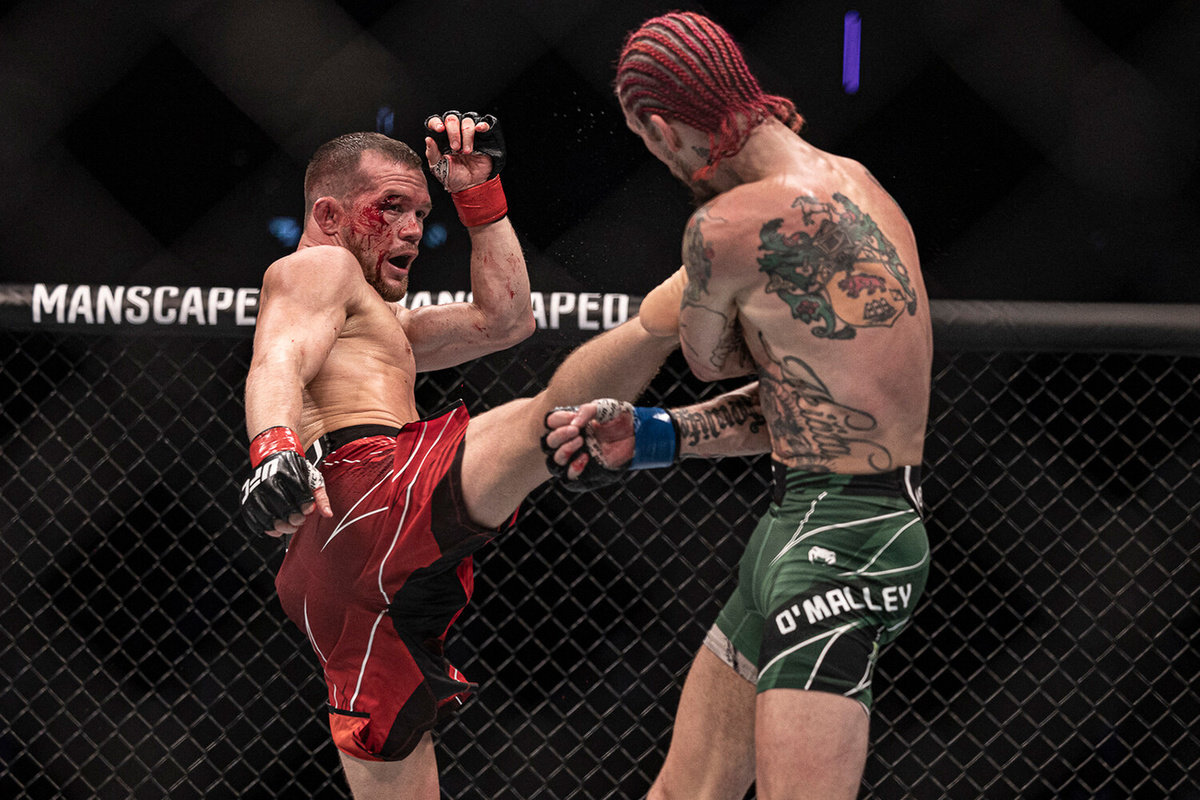     Петр Ян – Шон О’Мэлли