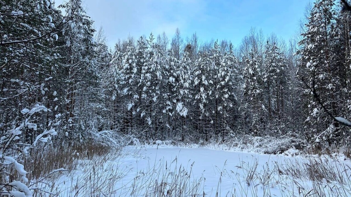    Что находится на месте падения метеорита   newsnn.ru