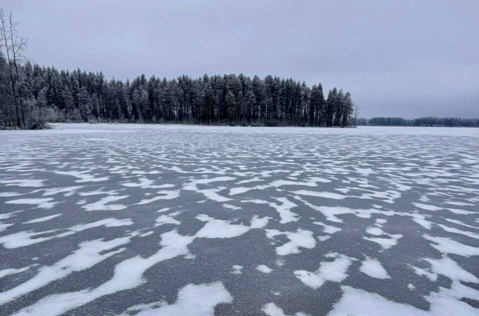    Фото: Госкомитет Карелии по ОЖ и БН