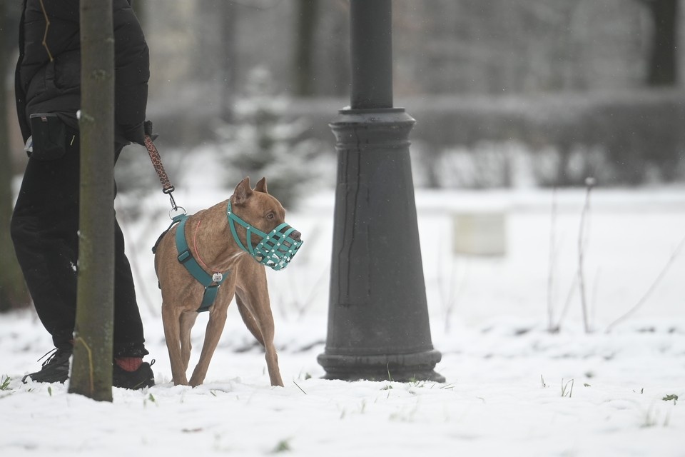    Фото - иллюстративное. Алексей БУЛАТОВ