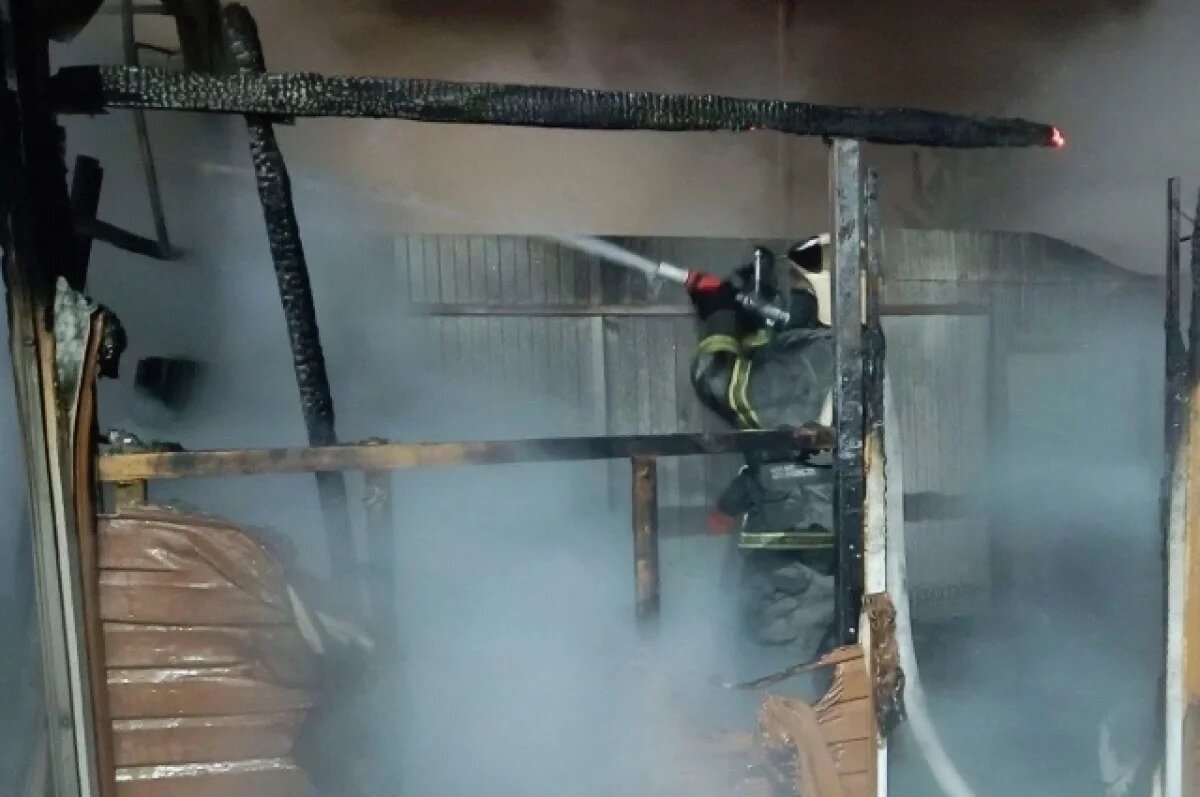    В Тульской области пожар закончился гибелью человека