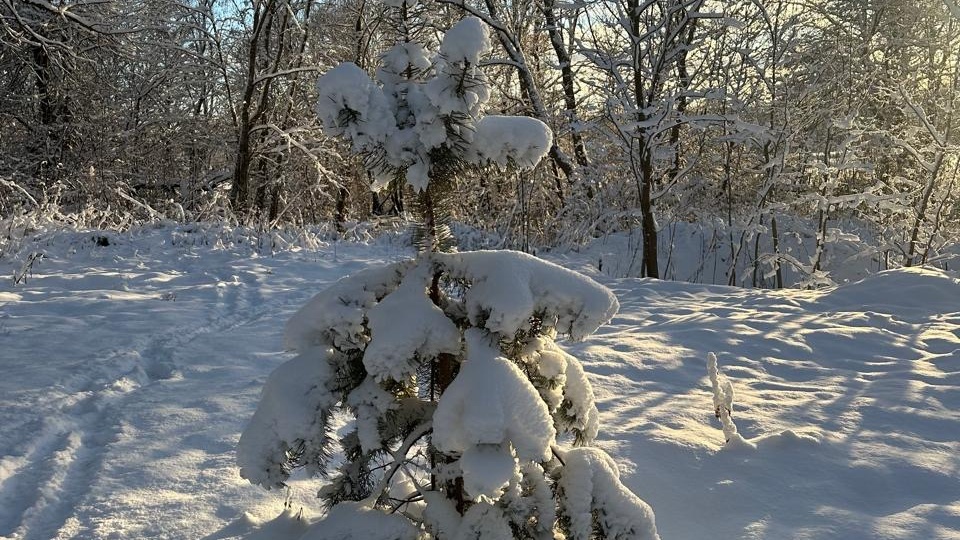 Квадратное дыхание: методы и преимущества